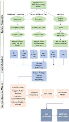 A comparison of various feature extraction and machine learning methods for antimicrobial resistance prediction in streptococcus pneumoniae